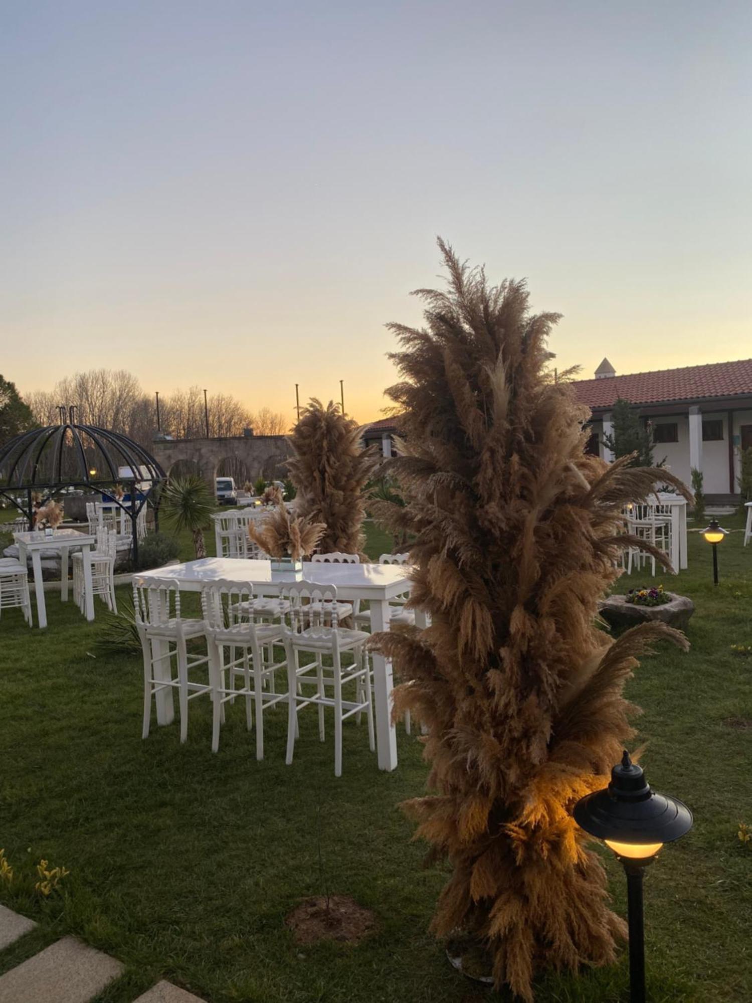 Tarihi Kumbaba Otel Ağva Extérieur photo